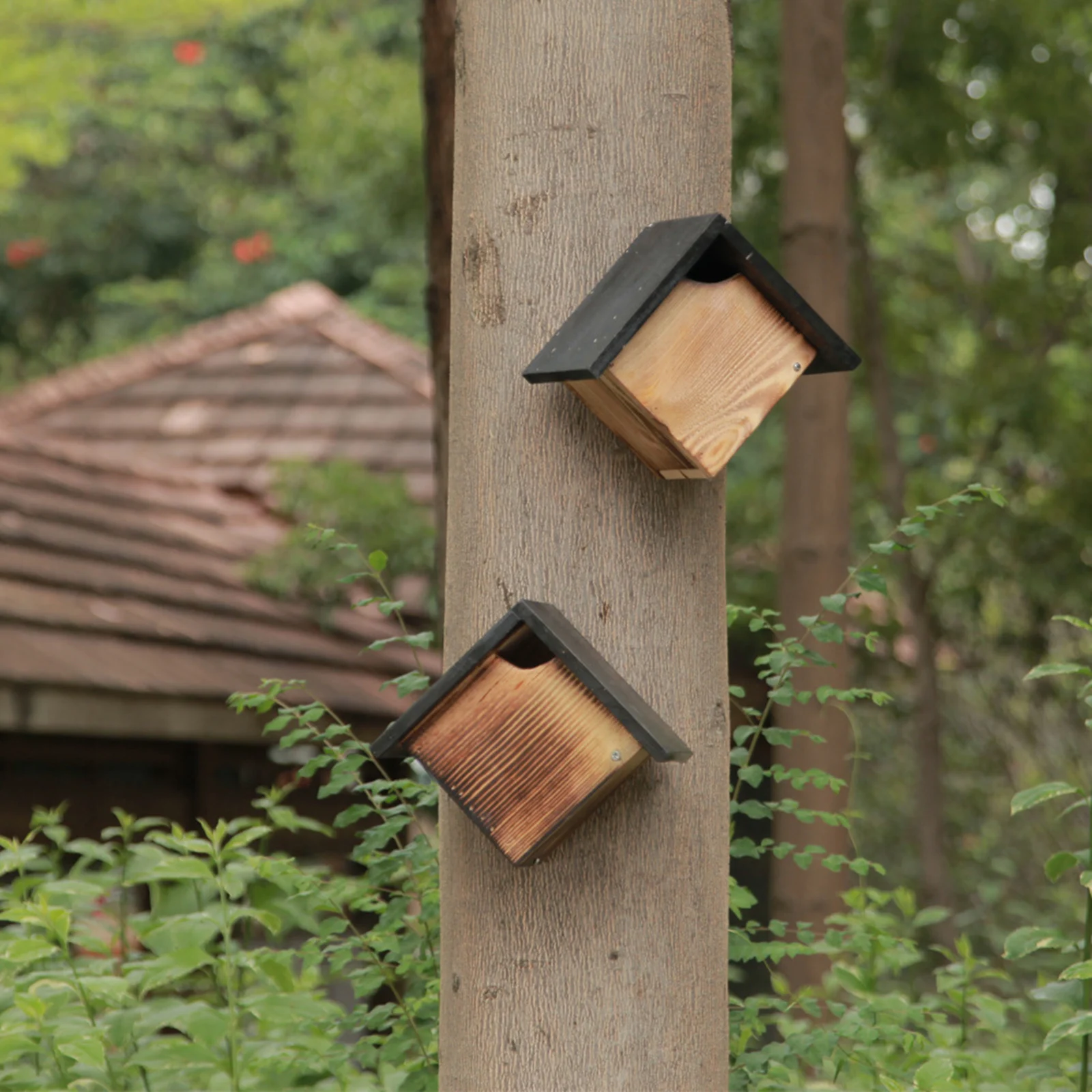 Wooden Outdoor Garden Bird House Wall / Tree Mounted Bird Sleeping Nest Hut