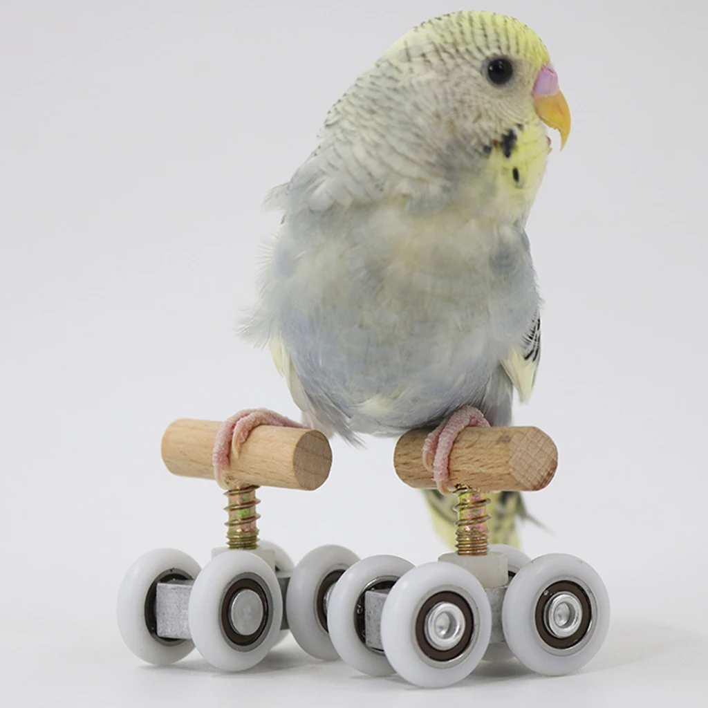 Parrot Mini Roller Ice Skates Toys Bird Play Activity Foot Toy Adjustable