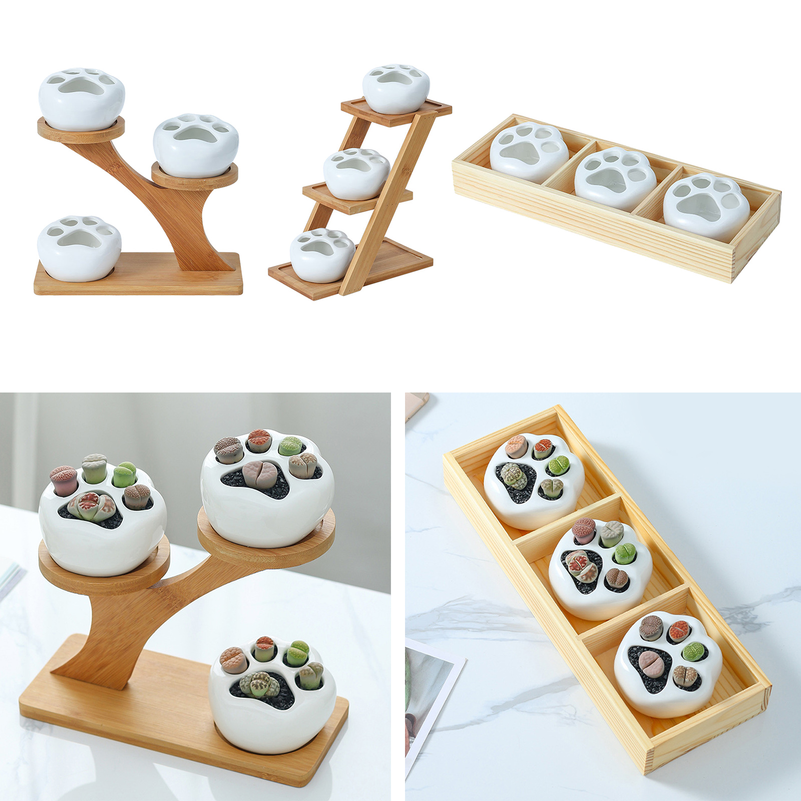 Cute Succulent Plant Pot Drainage Patterns Elegant Cat Claw Shaped Ornament Planter Plant for Succulent Plants Tabletop