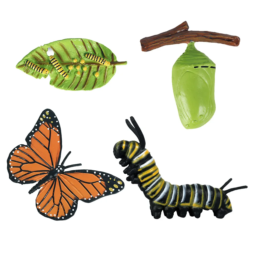 Nature Butterfly Life Cycle Stages Insect Growth Figures Playset Pre-school