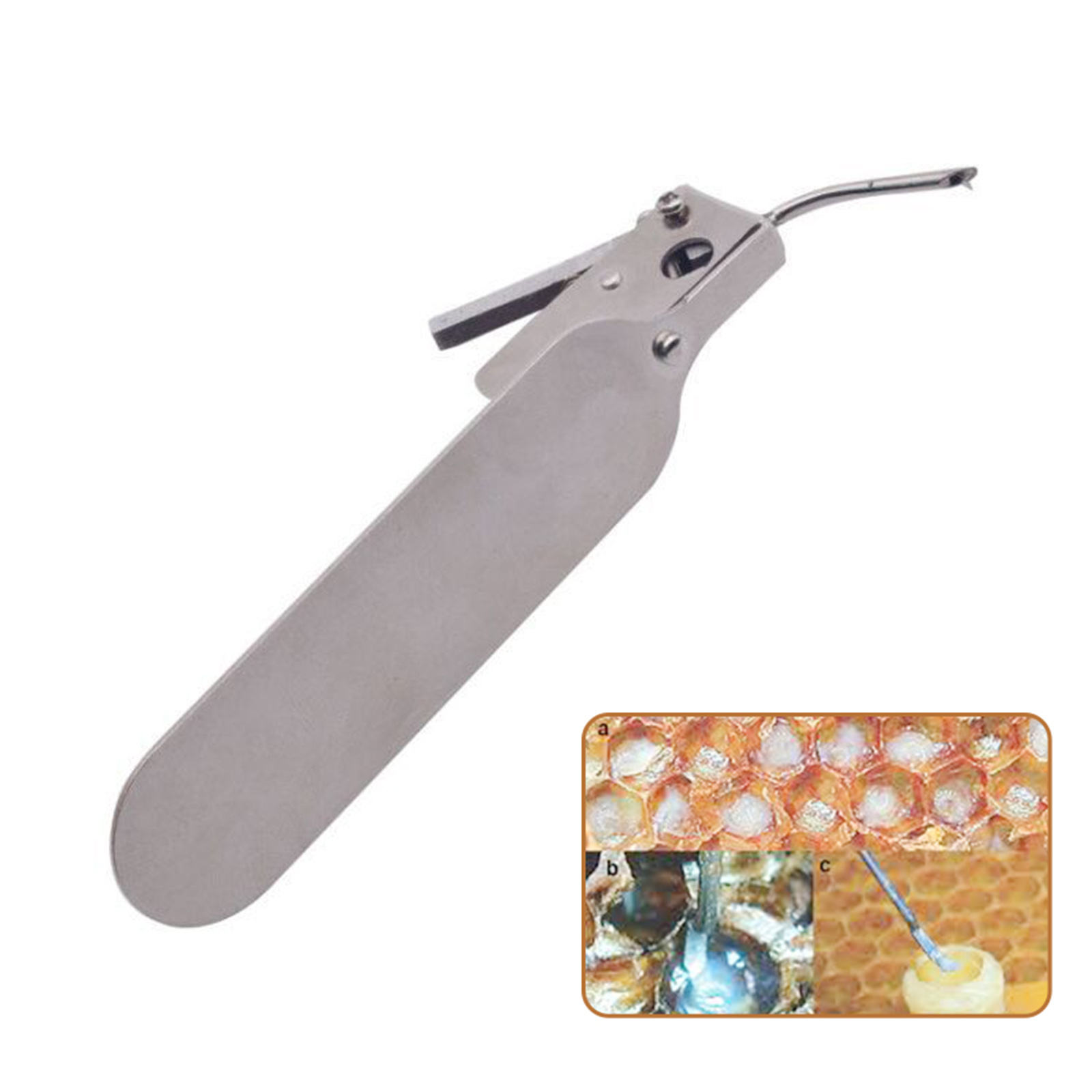 Stainless Steel Worm Grafting Tool with Spare Tongue for Moving Queen Bee Larva Beekeeping Grafting Tackle Transferring Tool