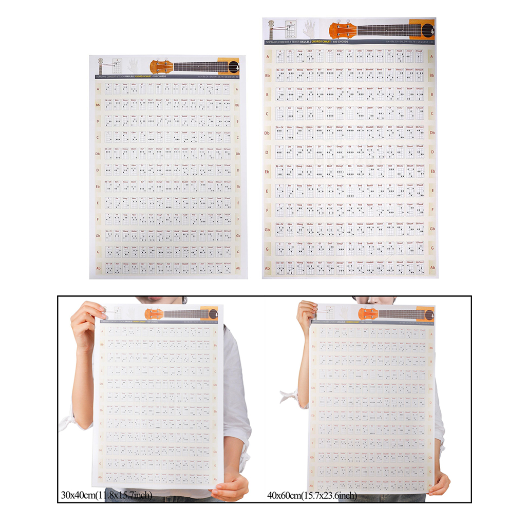 Ukulele Chord Sticker Diagram Poster Paper Diagram with All The