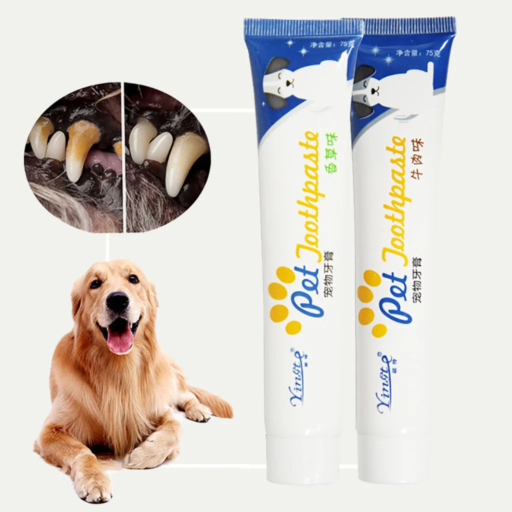 Dentifrice enzyme Pet pour chiens, aide à réduire le tartre et la Plaque, aide à réduire l'accumulation de tartre et de Plaque