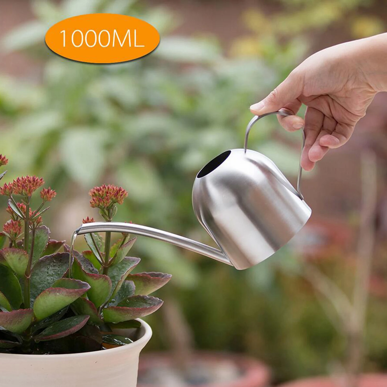 1000ml Stainless Steel Watering Can Bonsai Succulents Garden Watering Pot 