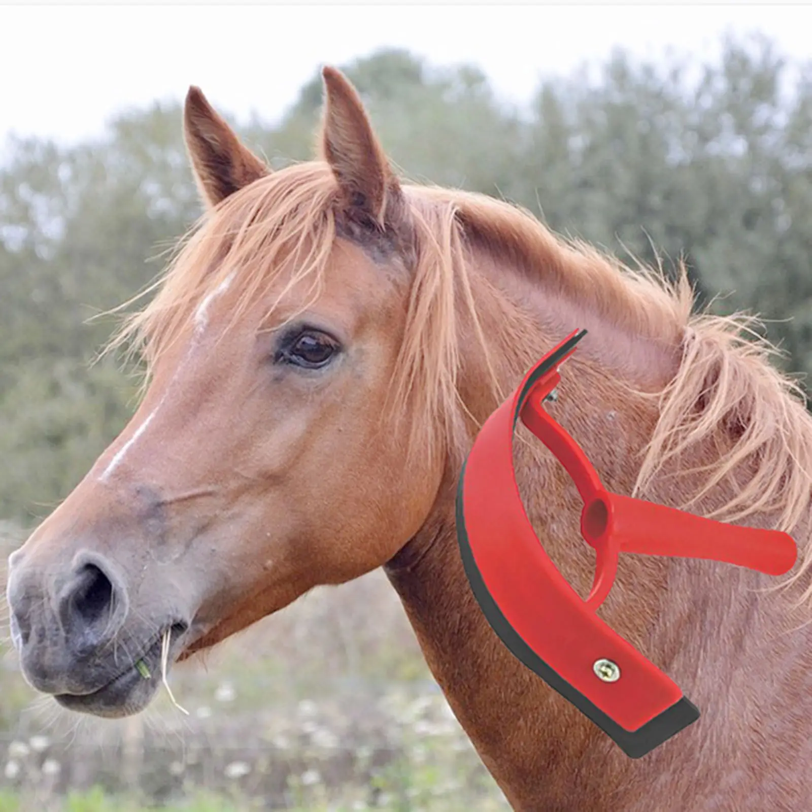 Non Slip Horse Sweat Scraper Handheld Portable Accessories Grooming Horse Cattle Tool Equestrian Color Randomly