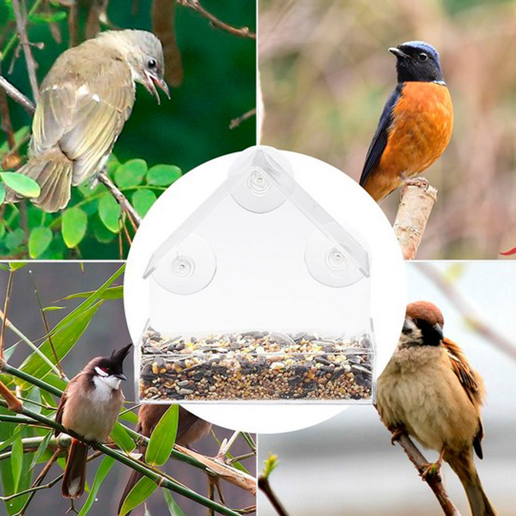 Clear Acrylic Window Bird Feeder Suction Cup Fit to Glass #2
