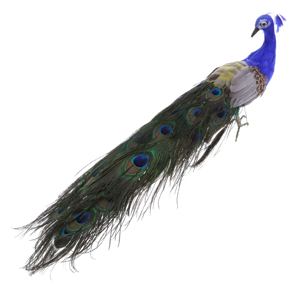 Vivid Artificial Peacock Bird Realistic Taxidermy Home Garden Decoration,