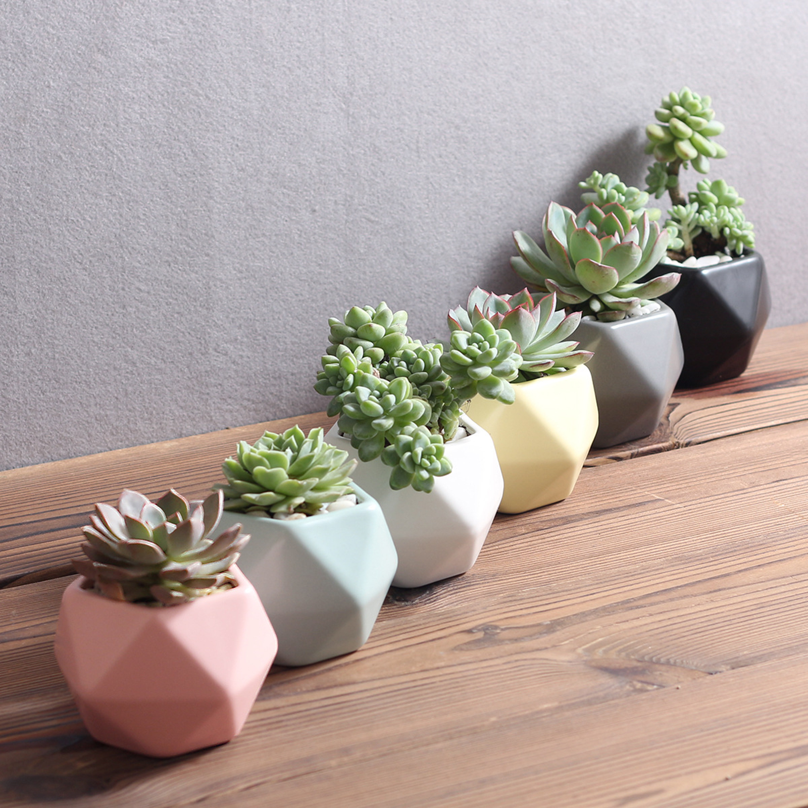 4PCS Mini Geometry Planter Pots for Home Office Window -Colorful (Plants NOT