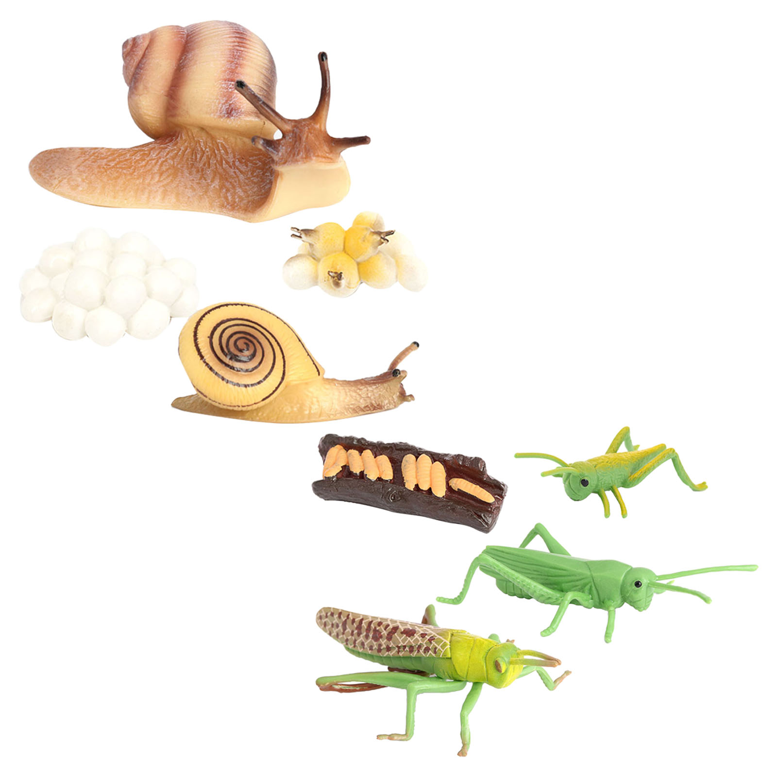 Kids Simulation Animal Figures Toys Grasshopper Snail Growth Process Models