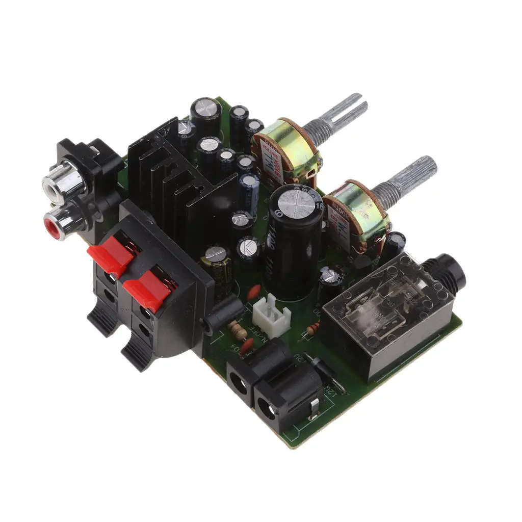 12V Power TDA2005 Dual Channel Digital Amplifier Board Microphone Stand