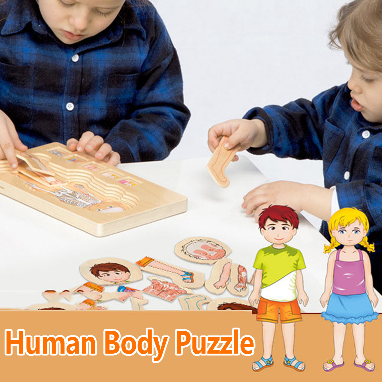 Quebra-cabeças de Corpo Humano de Madeira Partes do Corpo Músculos do Gênero Corpo da Memória Educacional para Crianças Presente de Natal e Aniversário Brinquedo 5 Brinquedos e hobbies