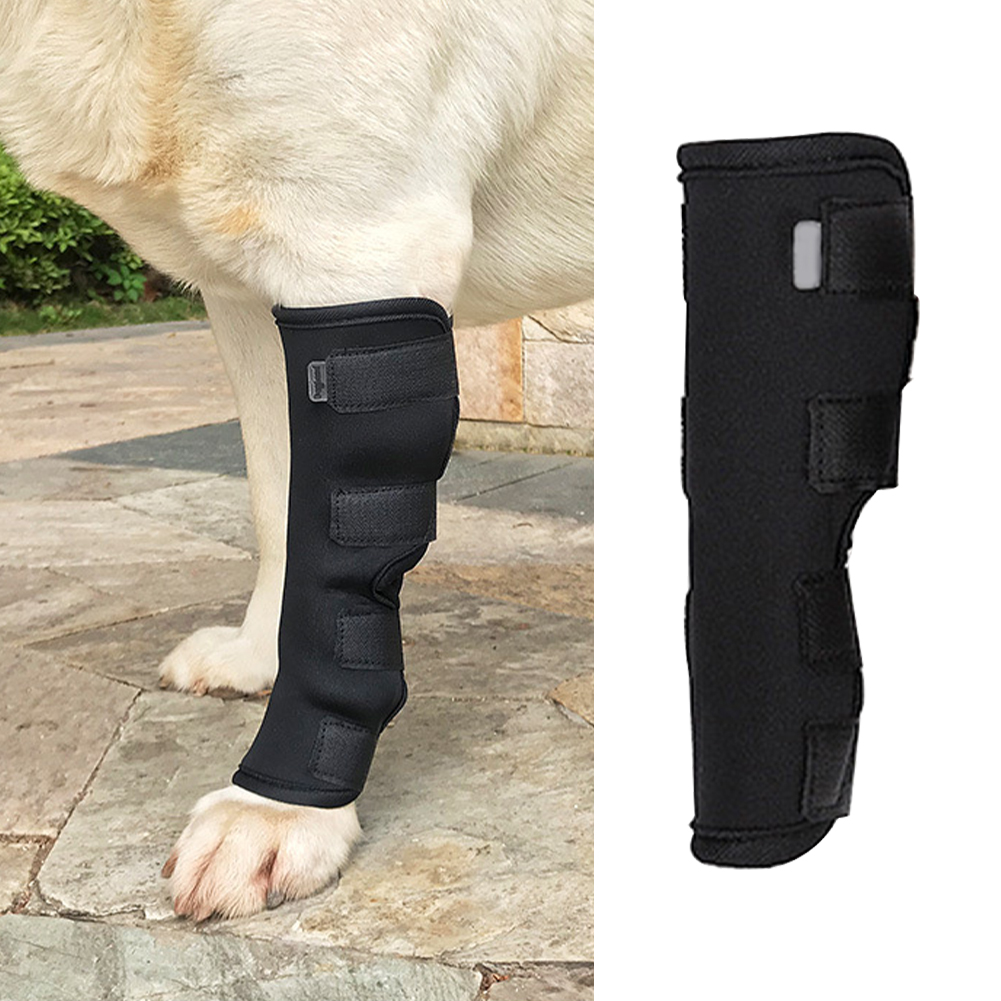 Title 6, Support Safety Compression Sleeve Arthritis Car...