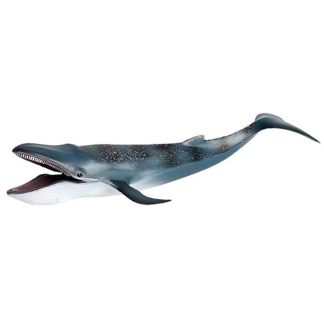 Simulation Blue Whale Animal Figure Collectible Toys Sea Animal Cognition Action Figures Kids Plastic Toys