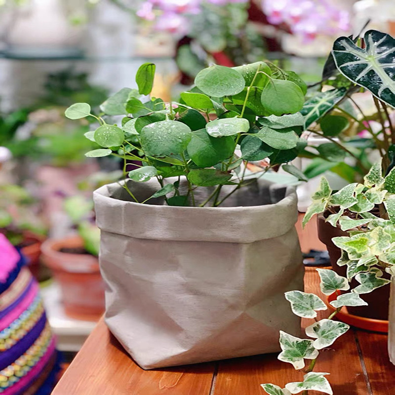 96e1a82e02e435a0cc707c4bc2e2ce