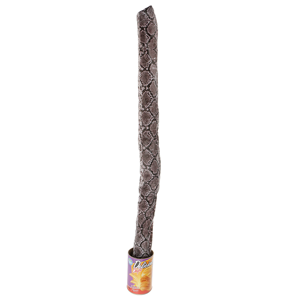 Novelty Funny  Out Snake in A Potato Chips Can Party Prank Joke Gag Gifts
