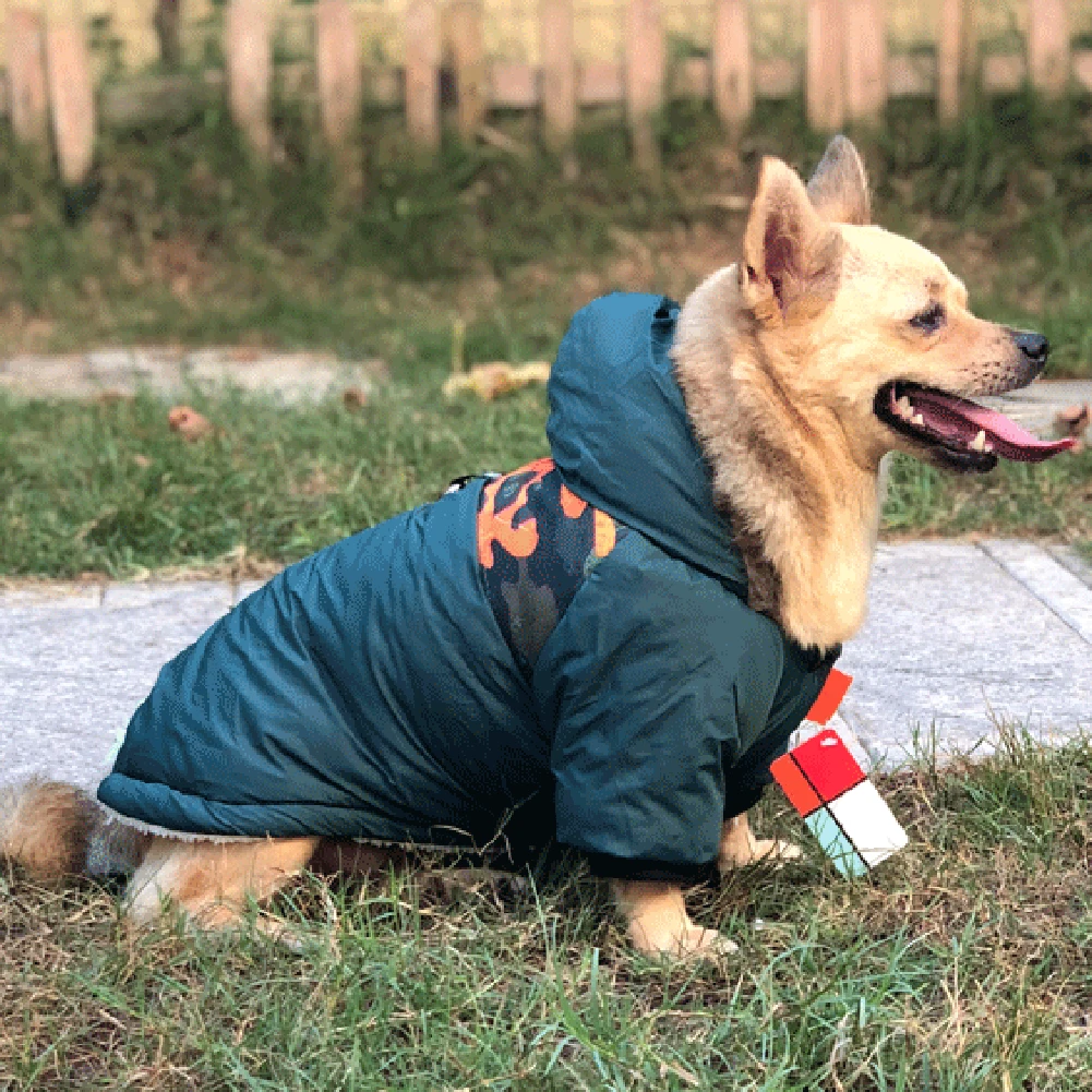 Un perro pequeño que lleva una chaqueta azul con capucha. La chaqueta tiene un patrón en la capucha que se asemeja a una cara y hay una etiqueta adherida al cuello. El perro parece estar sentado en una zona de césped con una valla de madera al fondo.