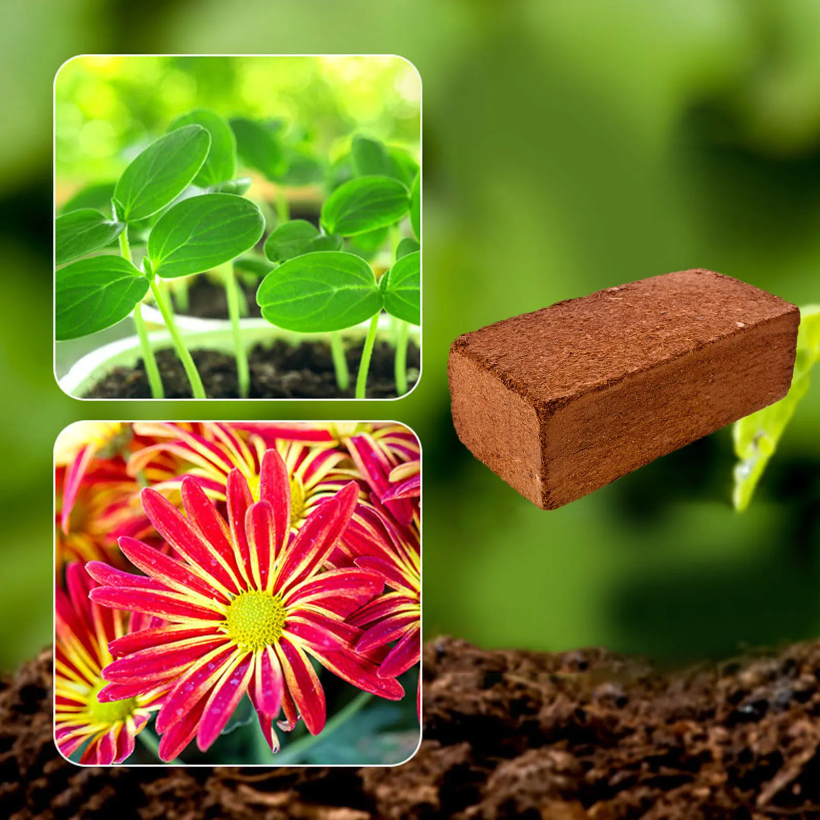 650g Planting Coco Nutrient Soil Coconut Coir Bricks, Coconut Fiber Castings for Plants and Crops