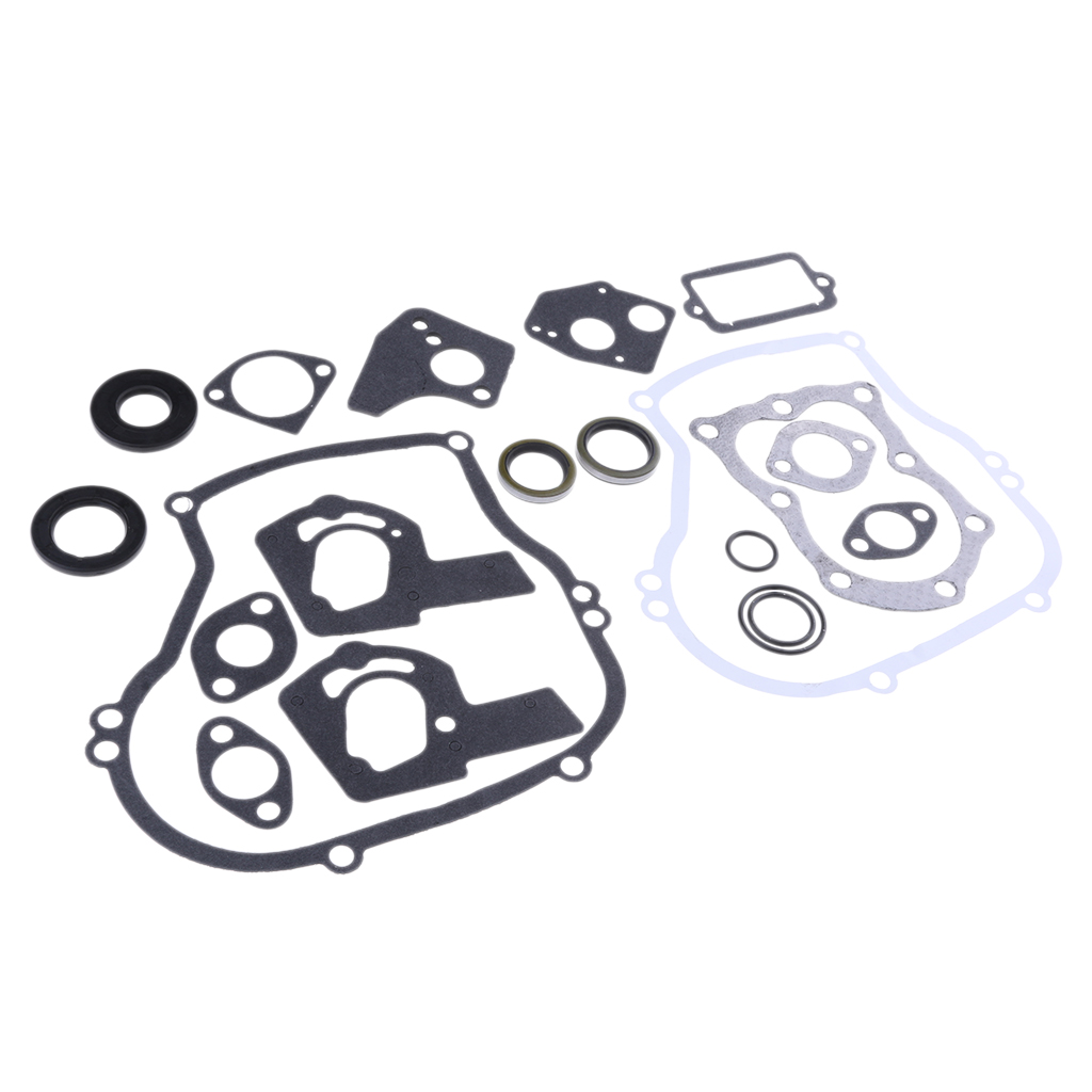 Engine Gasket Set for    495603 Replaces # 397145, 297615