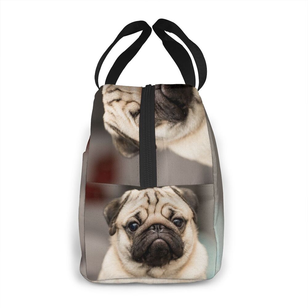 Cute pug cão tem pergunta refrigerador lancheira