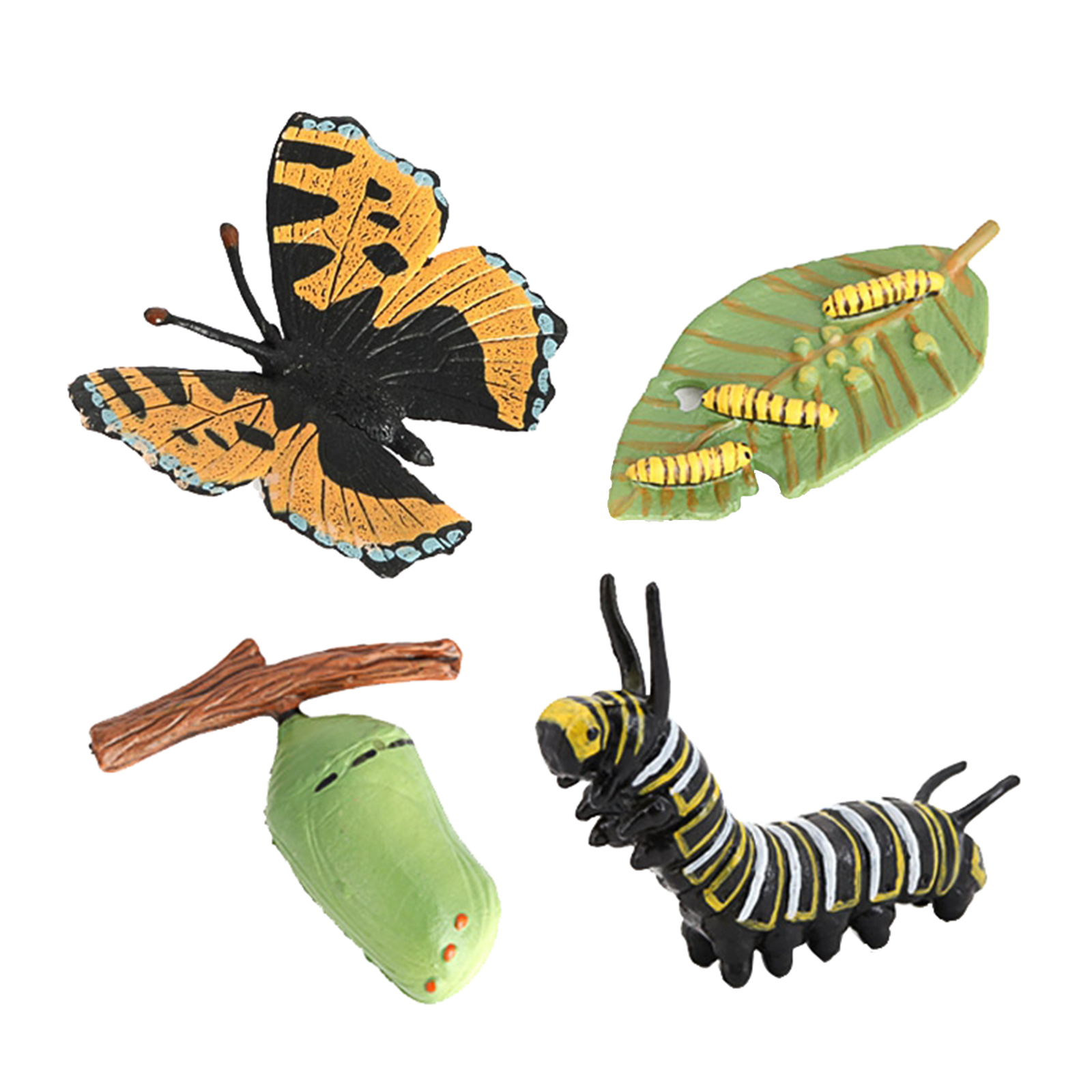 Insect Butterfly Lore  Life Cycle - 4 Pcs Insect Figure Shows Life Of Lady Bug