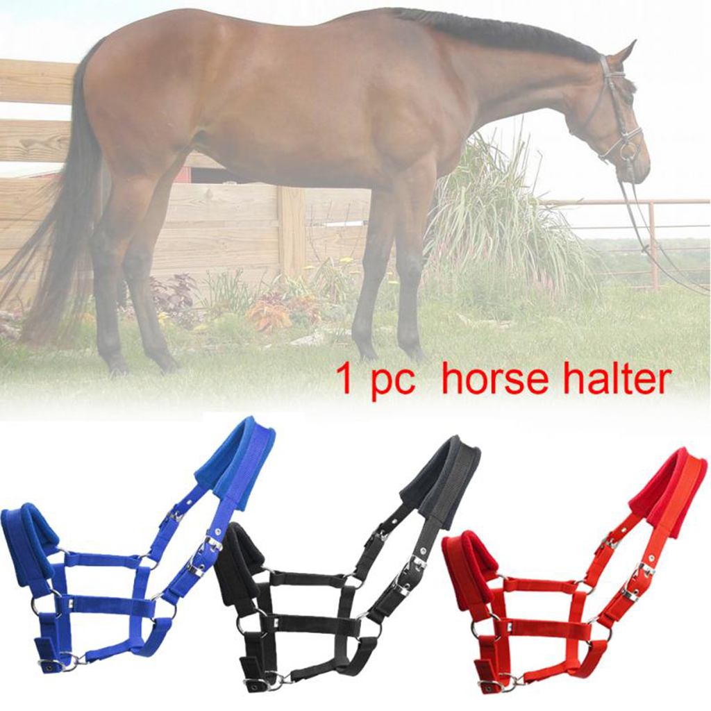 Padded Pony Cob Horse Halter Bridle Rein Equestrian Adjustable Head Collar Strap