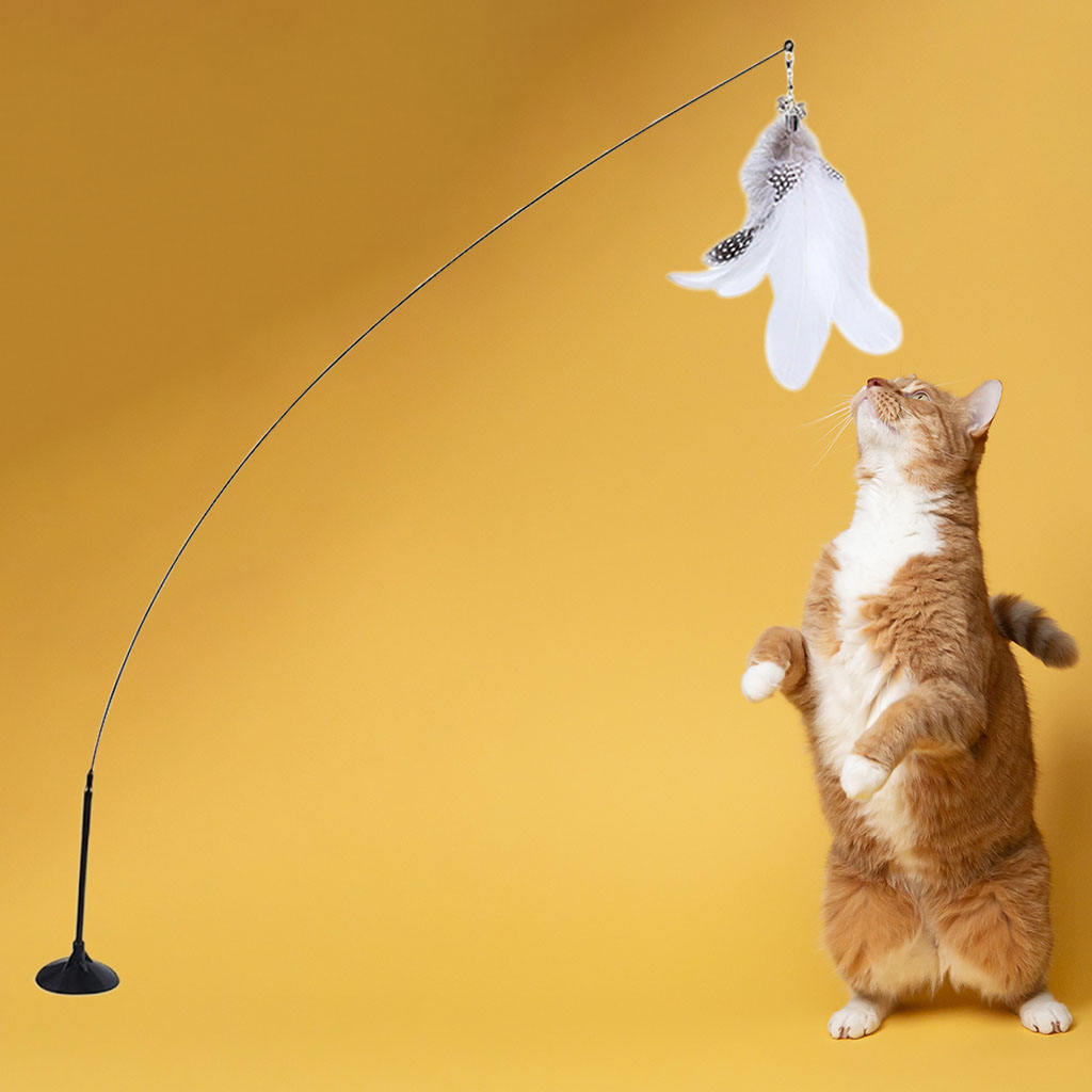 Cat Teaser Toys Heavy Duty Attachment Interactive Adsorbable for Catch