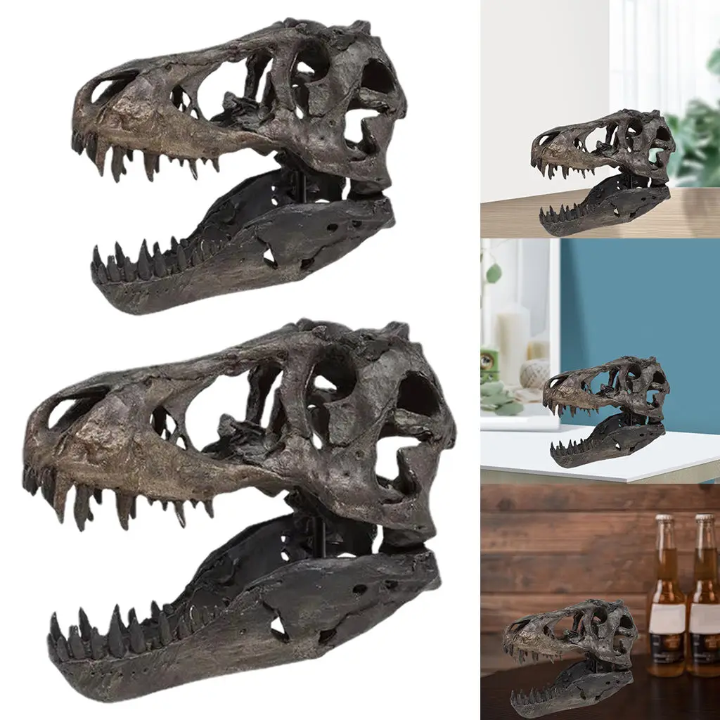 Dinosaur Skull Head Model Creative Figurine Living Room Home Decor Gifts
