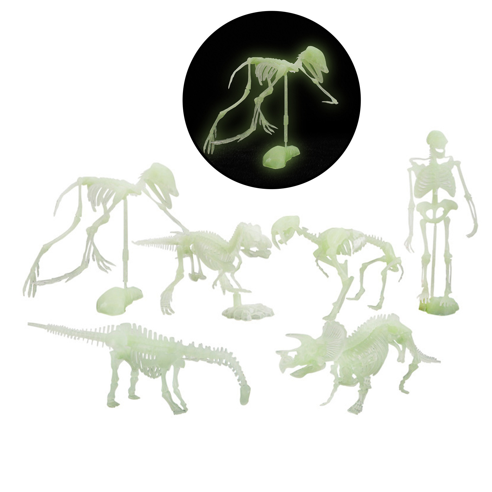 Fluorescentes de Dinossauro para Halloween Modelo de Esqueleto Ossos Humano Caveira Brinquedo Antiestresse Que Brilha no Escuro 7 Brinquedos que brilham no escuro