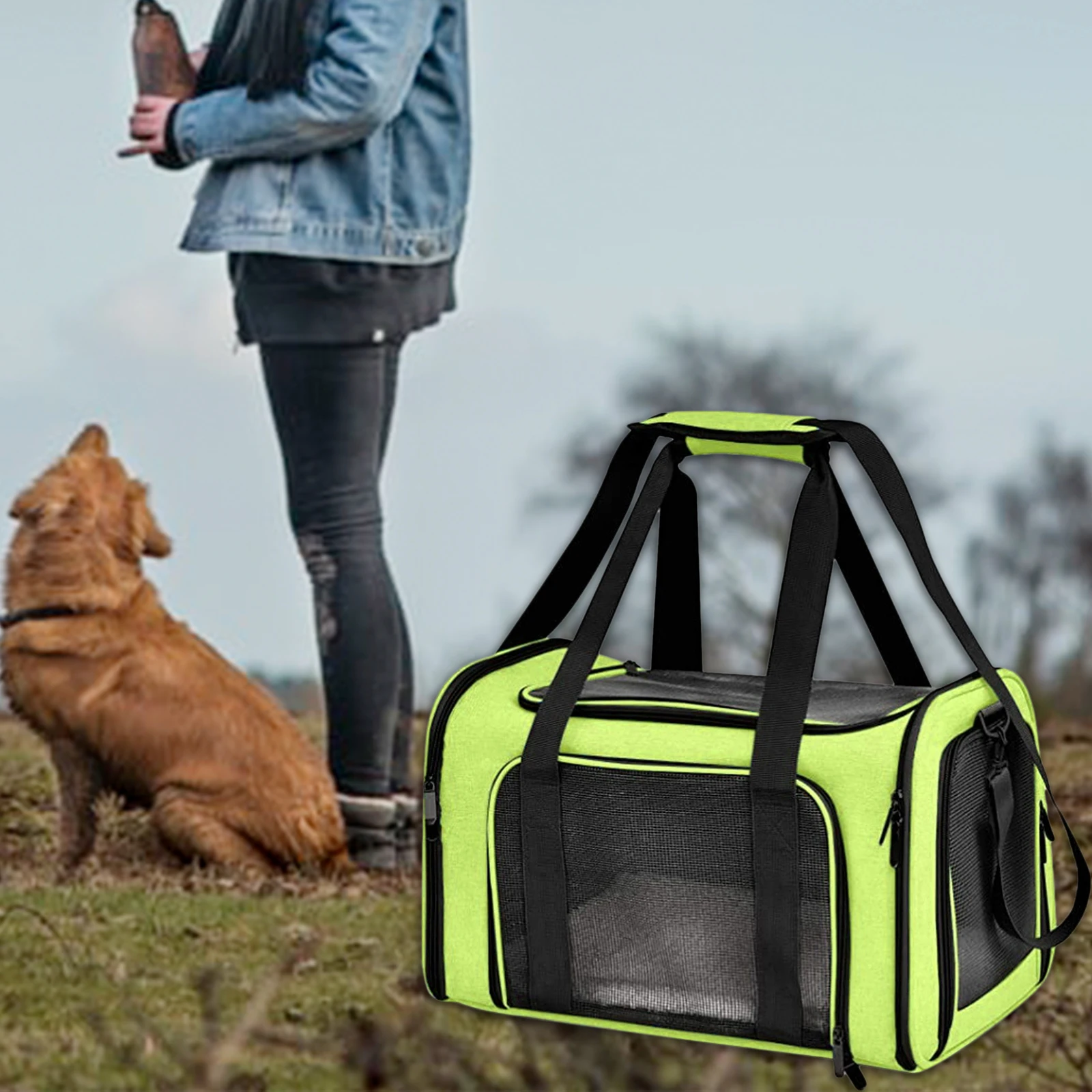 Soft Pet Carrier Cat Carrying Box Handbag Collapsible Cage Easy to Storage