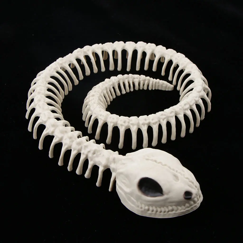Spooky Creepy Snake Skeleton Halloween Decor Animal Bones Haunted House Prop 