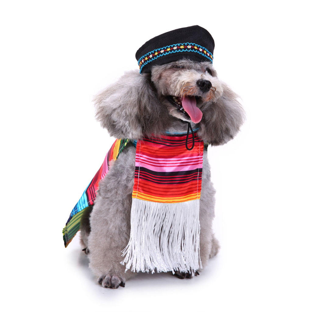 Pet Dog Complete Mexican Poncho Cloak Black Sombrero Hat Outfit Costume