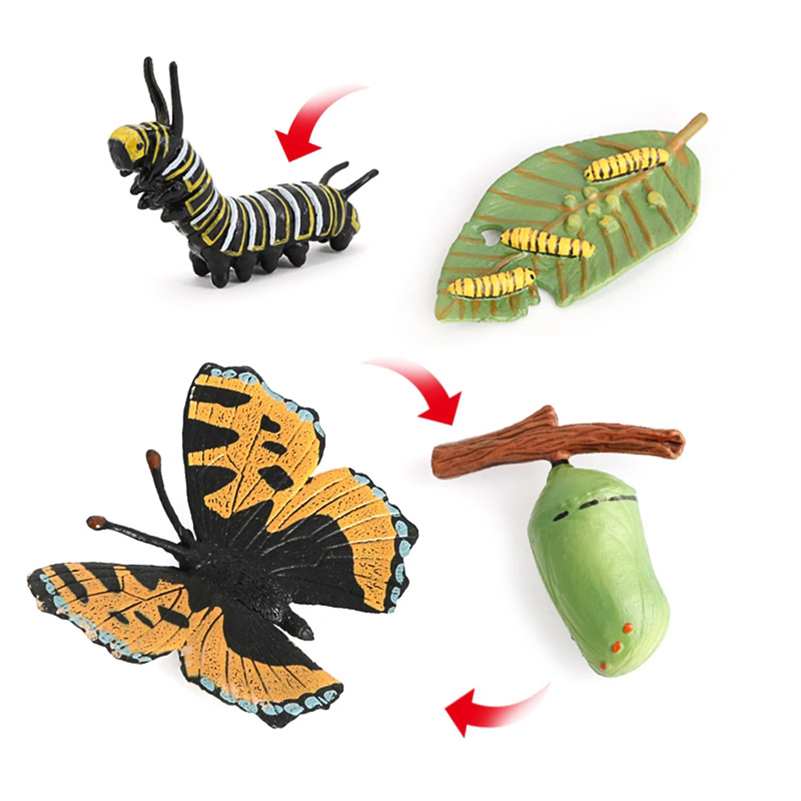 Детские Образовательные Игрушки для раннего развития детей дошкольногоИгрушка Бабочка жизненный цикл модель подарок
