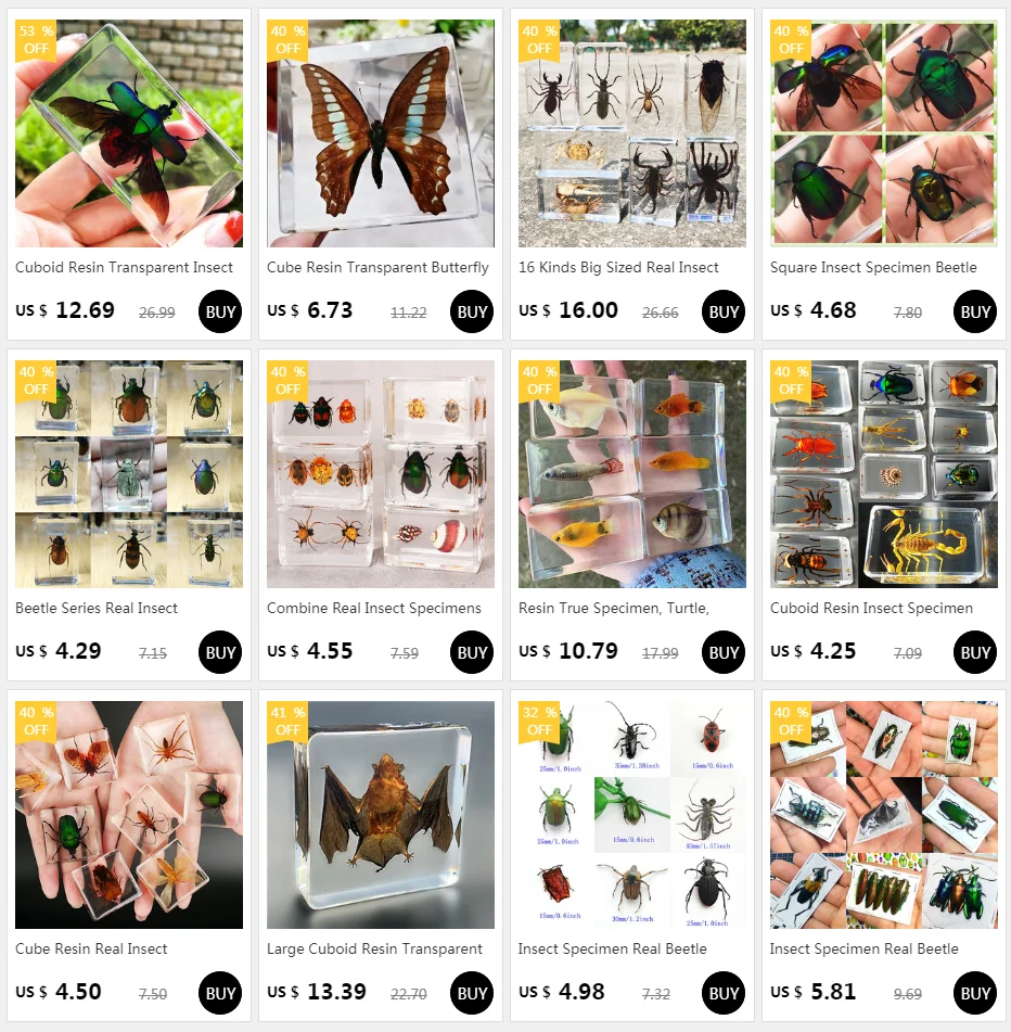 27 Kinds Hand Made Gutta Percha Resin Insect Transparent Amber Insect Specimens Home Decoration Small Ornaments miniature glass animal figurines