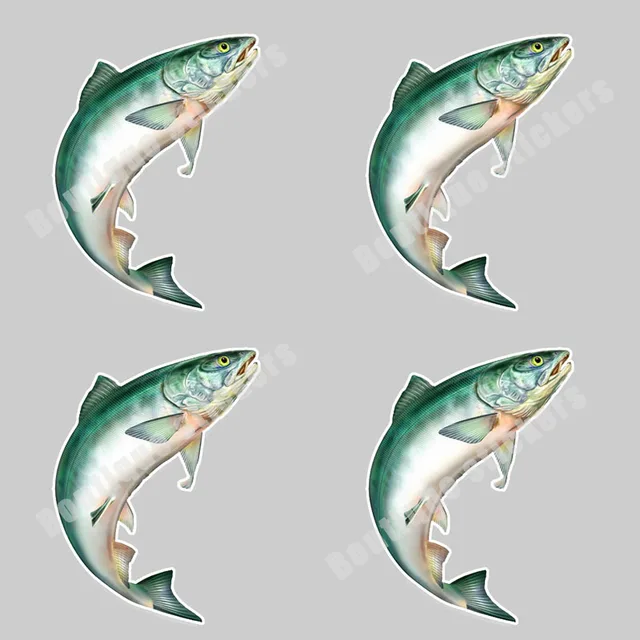 Beautiful Fish Stickers Four-piece Mahi/Peacock Bass /Jumping Fish /Rainbow  Trout/Salmon Decals Fishing Rod Toolbox PVC Decals - AliExpress