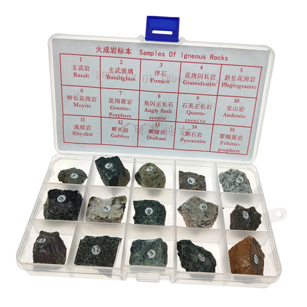 Igneous Rock Specimen Collection Real Stone Teaching Aid Supplies w/ Box