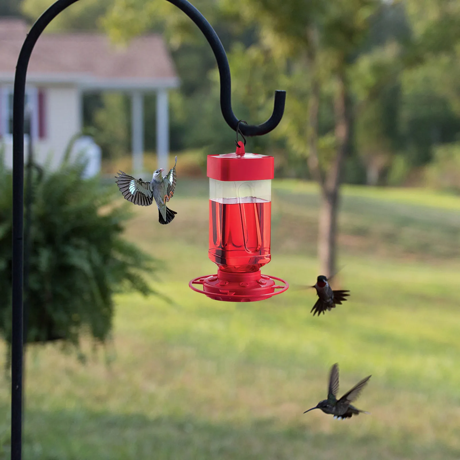 New Hummingbird Feeder Bird Water Drinker Feeder Waterer Dispenser Bottle Drinking Cup Bowls For Parr Pet Bird Supplies