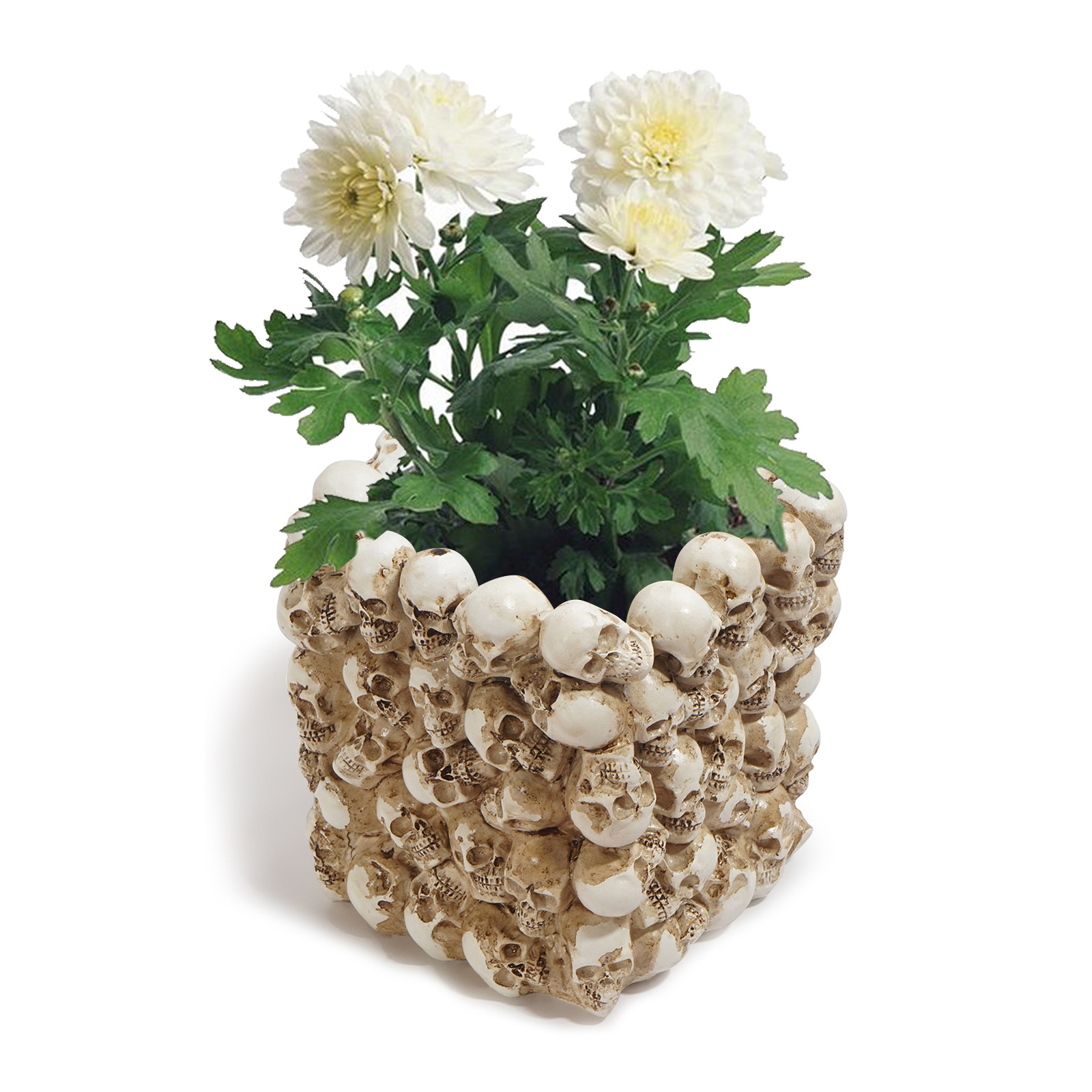 Resin Skull Model Flower Pot Office Supplies Storage Container Succulent Flower Pot Home Decoration Crafts