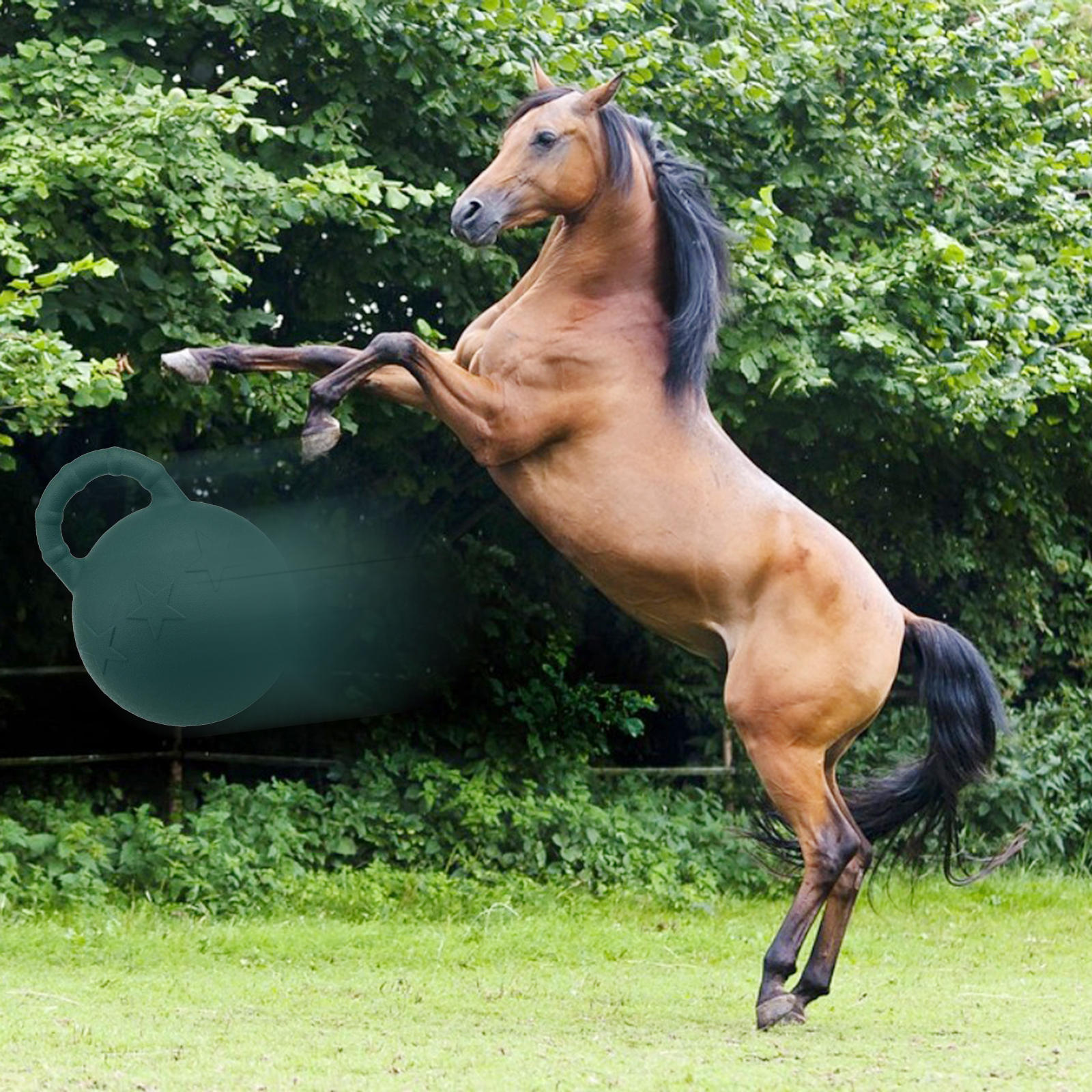 Equine Play Game Toy, Fruit Scented Anti-Burst  Soccer Balls for Horse Large Dogs Juggling Playing Toys