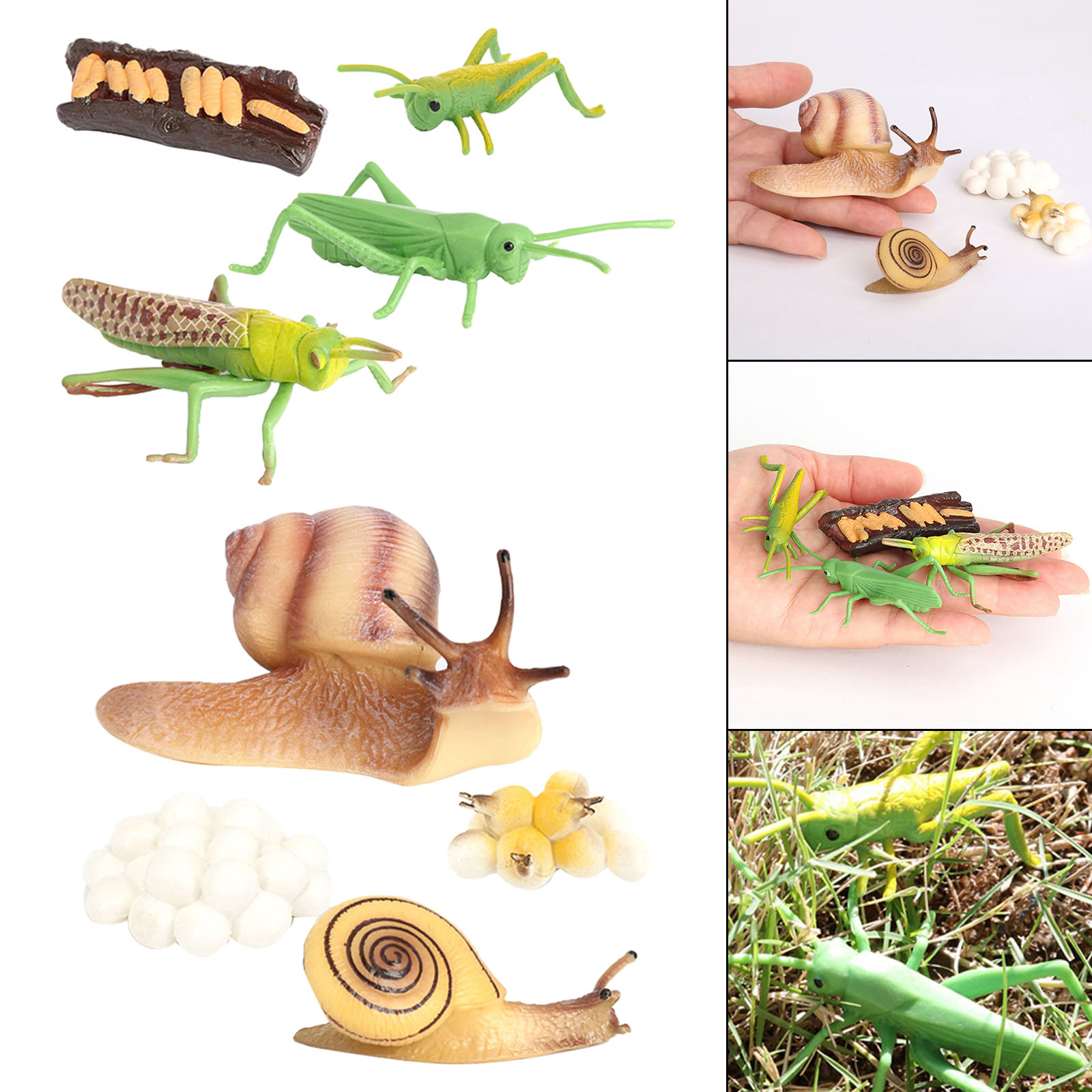 Kids Simulation Animal Figures Toys Grasshopper Snail Growth Process Models