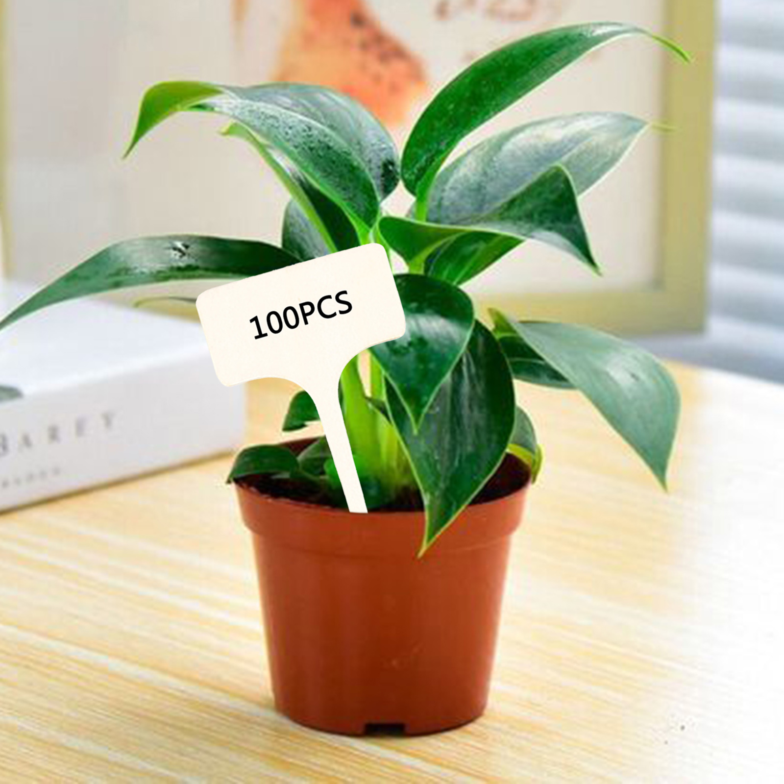 50Pcs Plant Labels Flowers Succulent T-Shaped Wooden Markers Name Tags Sign