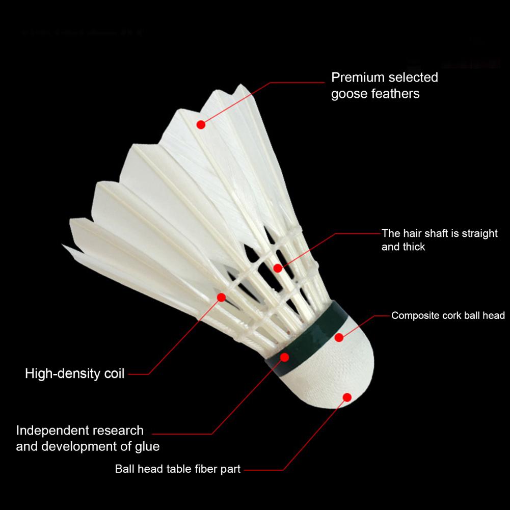 Shuttlecock Parts And Measurements 