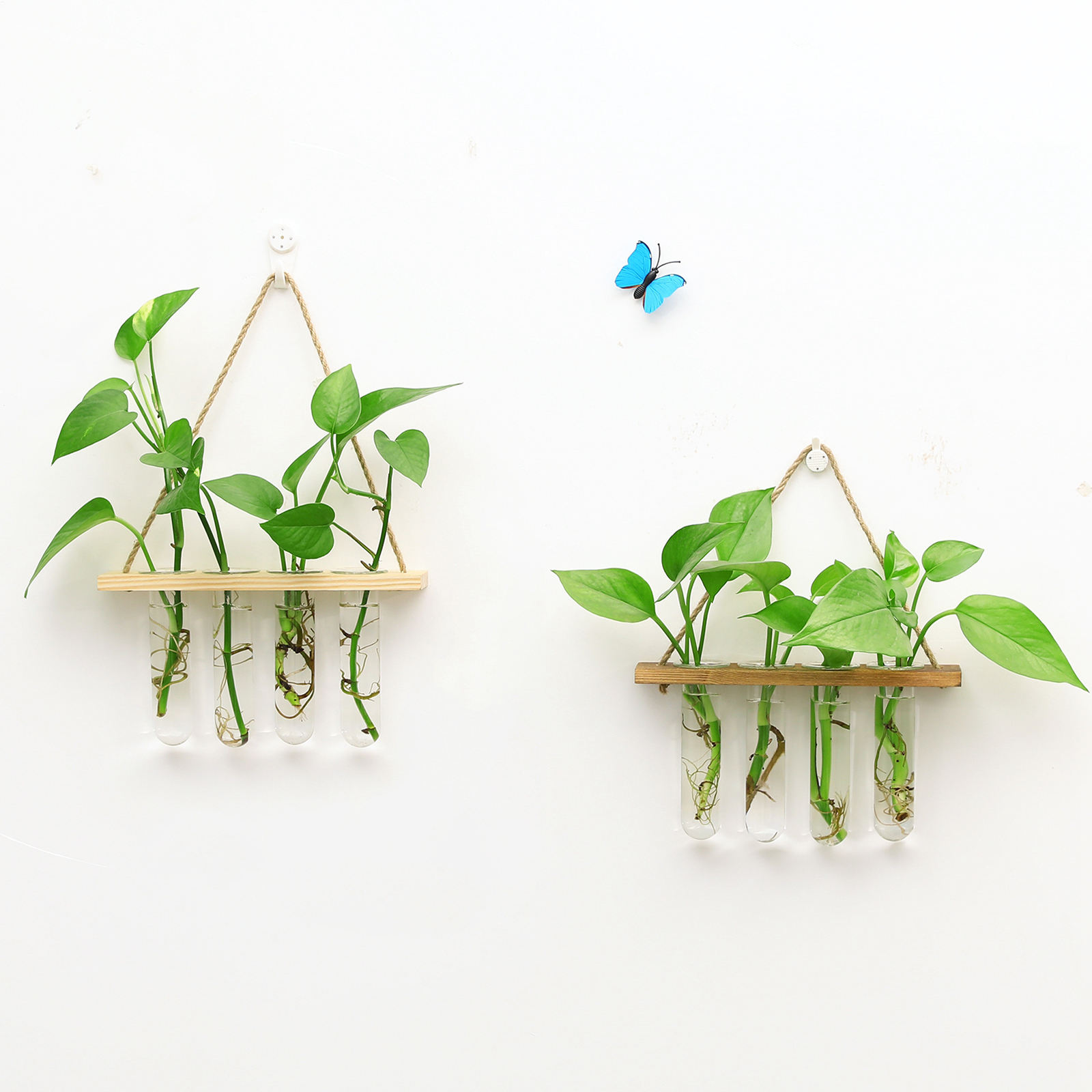 ing Clear Glass Tube Vases Planter Terrarium with Wooden er for Greenery Hydroponic Plant