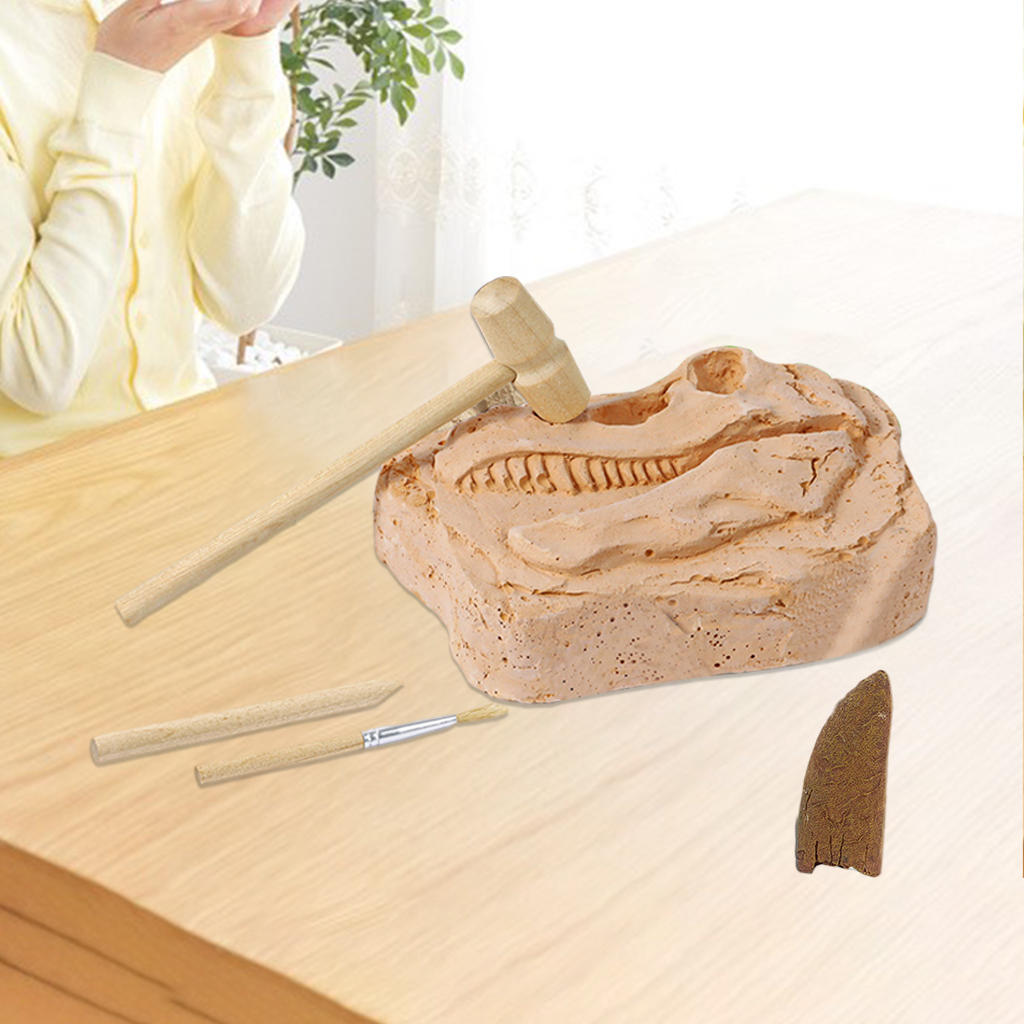 Dino Tooth DIY Dinosaur  Excavation Toys for Inspire Imagination