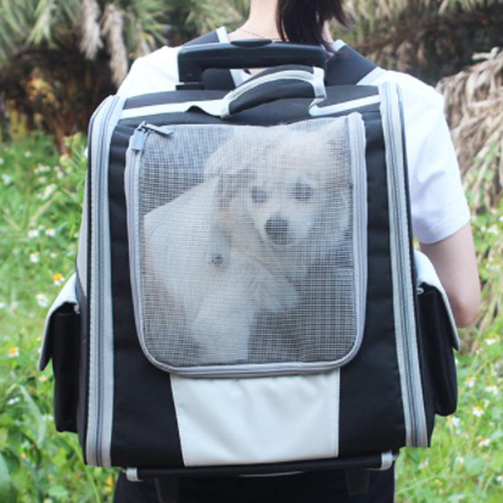 Fashion Pet Trolley Case Carrier Cats Puppy Small Dog Ventilated Cat Backpack Carrier, Comfort for Travel Hiking Walking Outdoor