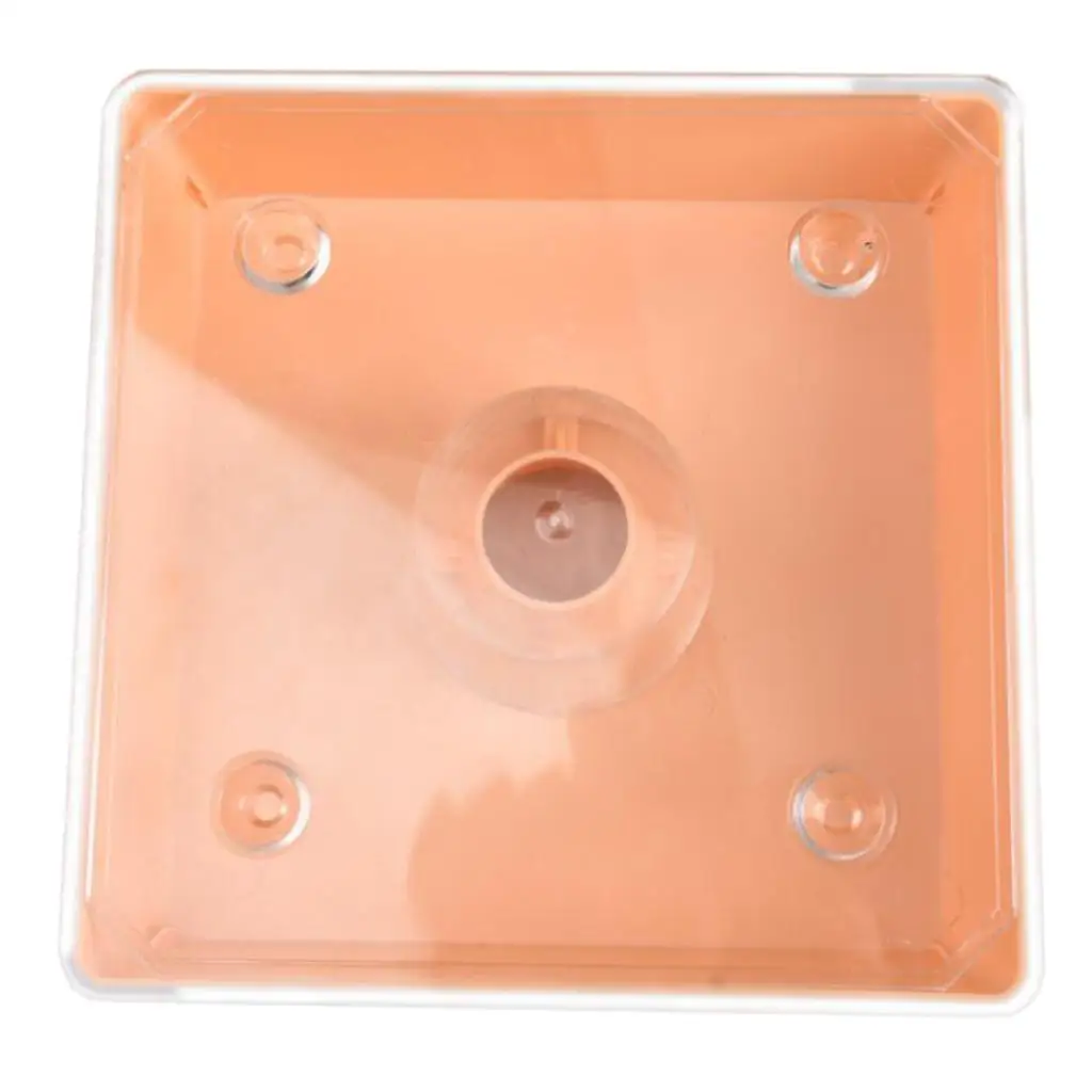 New Square 2 Litres Bee Feeder Beehive Top Feeder Beekeeper Tool Beekeeping Feeder with Transparent Cover Pre-assembled