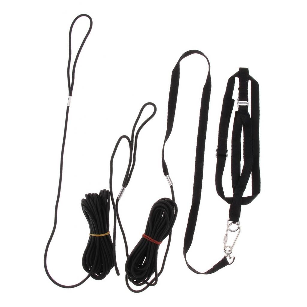 Parrot Adjustable Bird Harness and Leash Outdoor Walking Safe Traction Rope