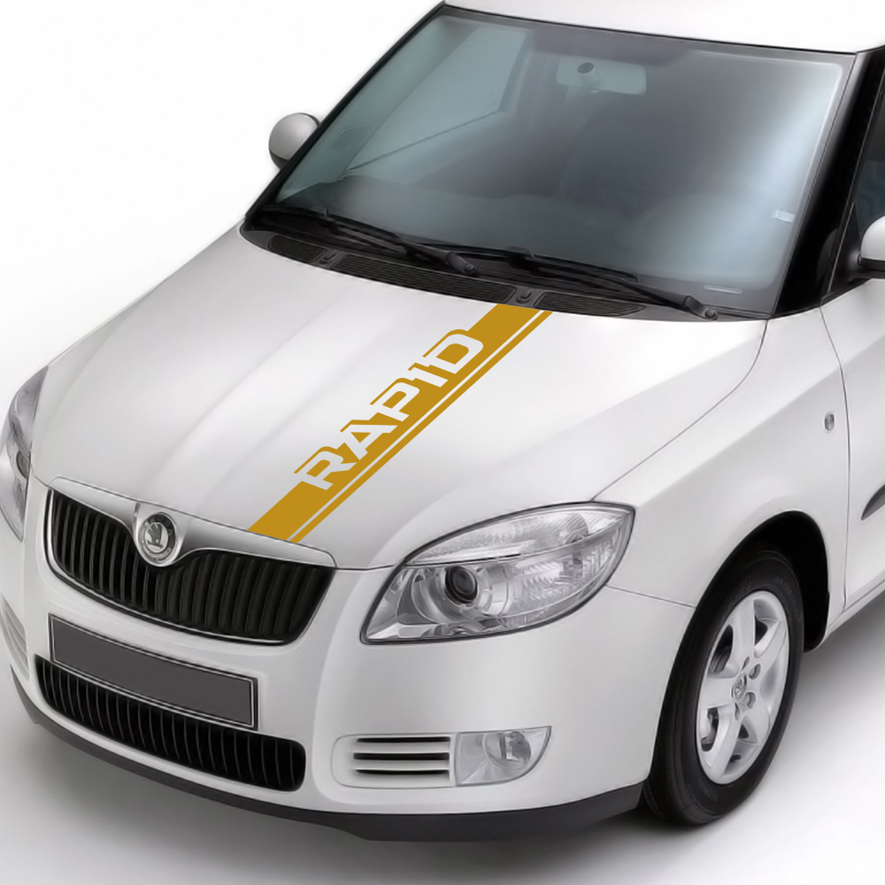 Fabia Citigo