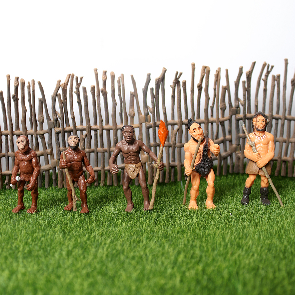 Educational Toys Primitive Human Model Science Educational Home Office Decor