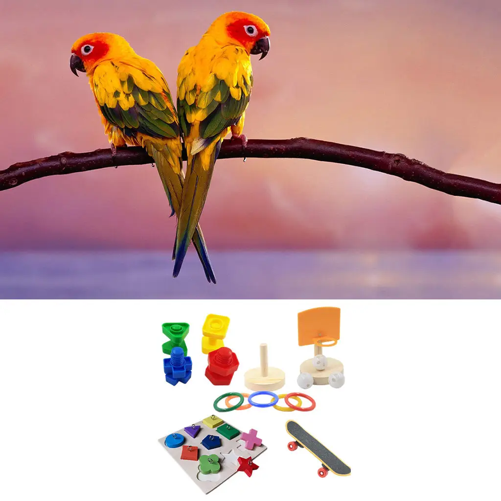 Parrot Toy Entertainment Bite Resistant Stress Release Scooter Brilliant Design for Cockatiels Conure Bird Pet Supplies