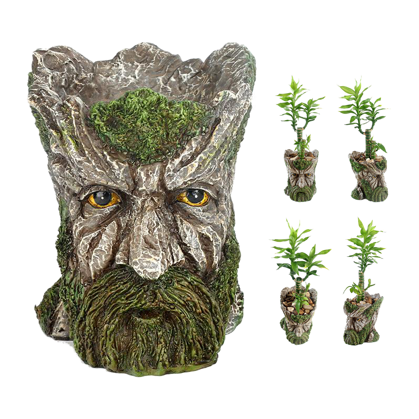 Flowerpot  Old Man Succulent Planter Green Plants Flower Pot for Indoor